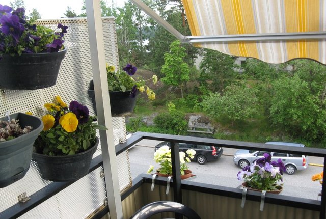 Aprikosgatan 46, Hässelby - bild 8