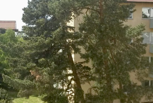 Klubbacken 31, Hägersten - bild 5