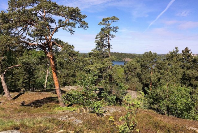 Klubbacken 31, Hägersten - bild 1