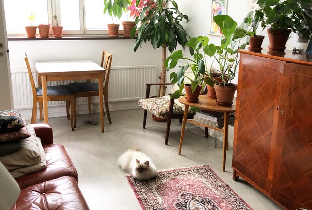 Vita Liljans väg 32, Skärholmen - bild 1