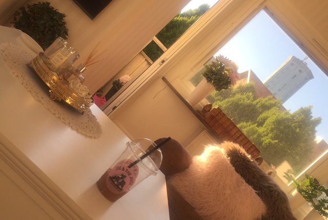 , Göteborg - bild 2