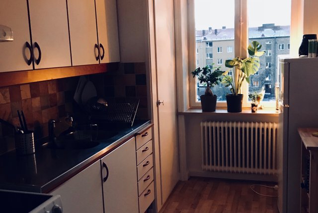 Regementsgatan 84B, Malmö - bild 3