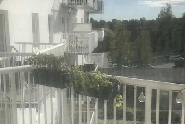 Mariehemsvägen 43D, Umeå - bild 4