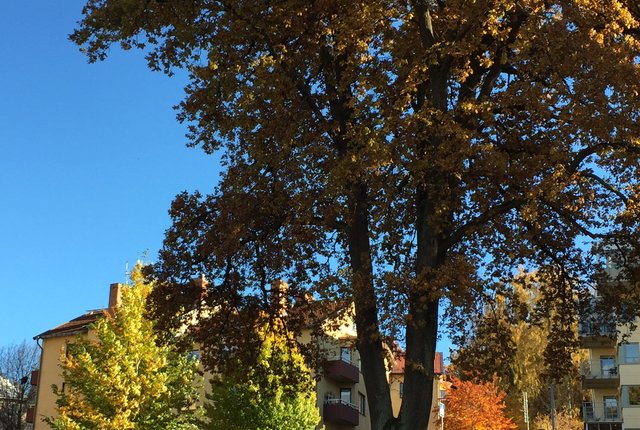 Bergsgatan 14A, Södertälje - bild 1