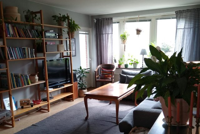 Lilliegatan 12, Göteborg - bild 7