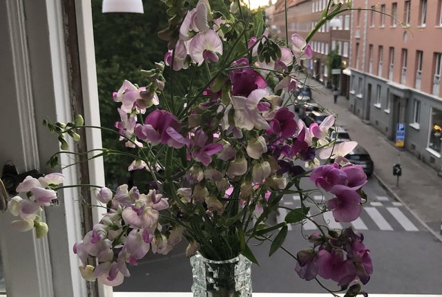 S:t Knuts torg 5, Malmö - bild 6
