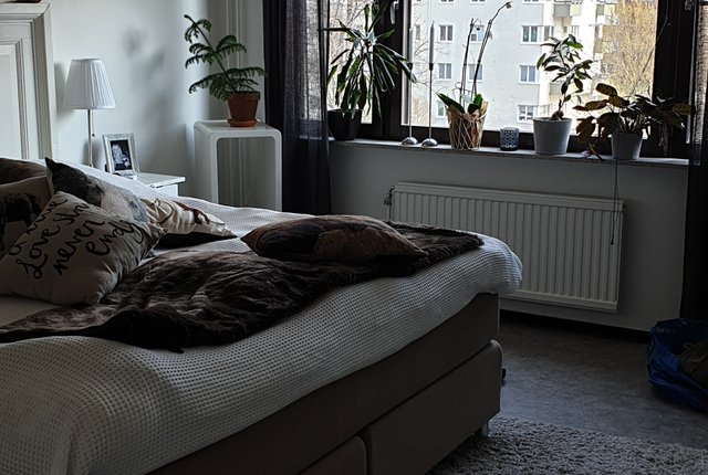 , Malmö - bild 5