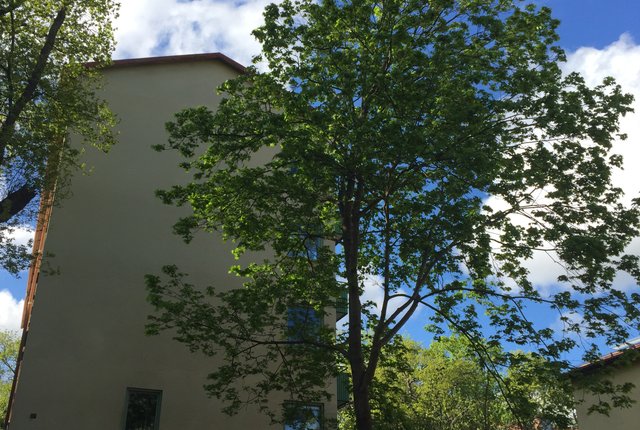 Minnebergsvägen 28, Bromma - bild 7