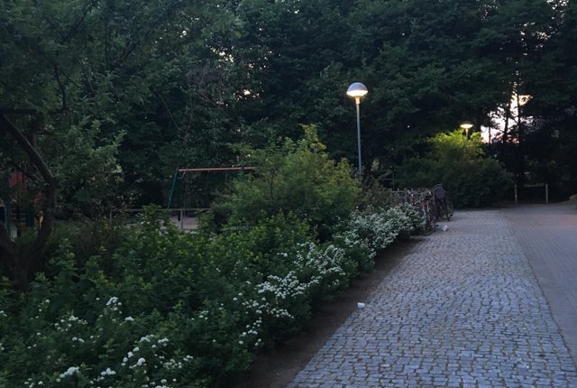 Dammfrivägen 63C, Malmö - bild 5