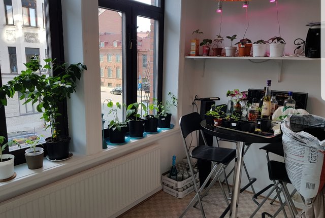 Helsingborgsgatan 6, Malmö - bild 8