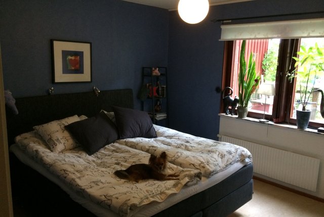 Repslagargatan 9E, Uppsala - bild 1