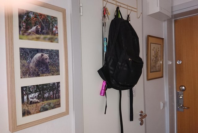 Folkskolegatan 24, Stockholm - bild 4