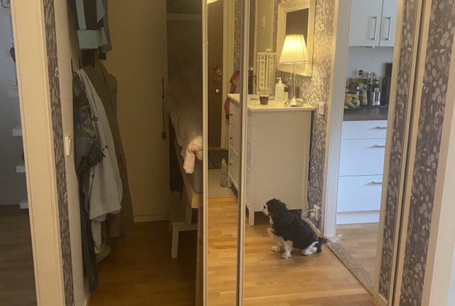 Fredriksbergsvägen, Rönninge - bild 6