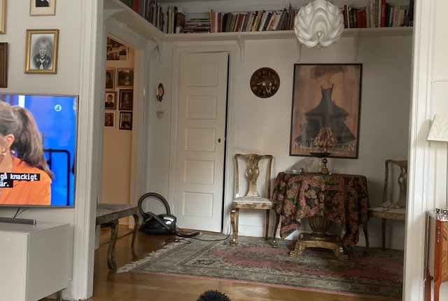 Renstiernas gata 19, Stockholm - bild 5
