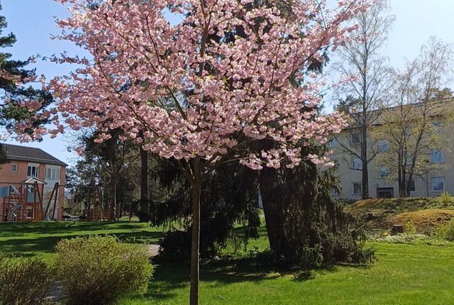 Bollmoravägen 91, Tyresö - bild 3