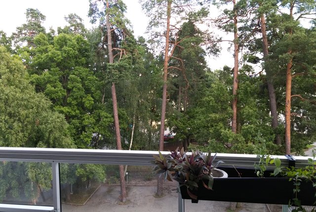 Rådjursstigen 3, Solna - bild 1
