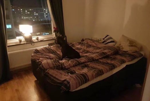 Näverlursgatan 10, Västra Frölunda - bild 6