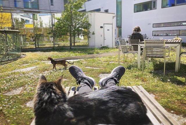 Sundspromenaden 27, Malmö - bild 2