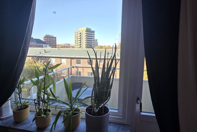 Smörgatan 22, Göteborg - bild 3