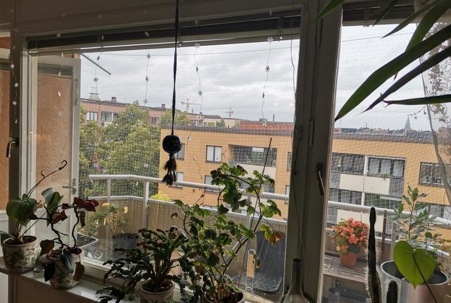 Tideliusgatan 36, Stockholm - bild 6