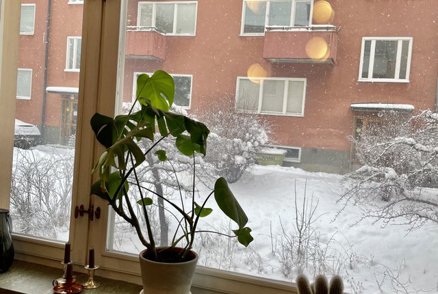 Hallebergsvägen 5, Bromma - bild 5