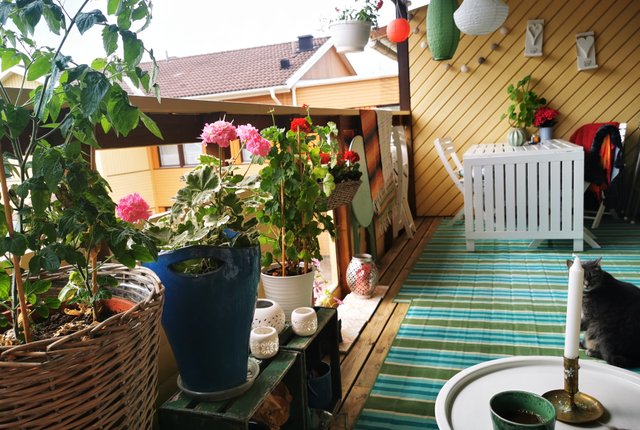 Lindvägen 6, Märsta - bild 5