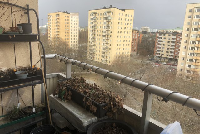 Ankdammsgatan 38, Solna - bild 8
