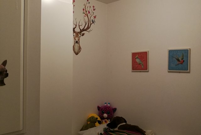 Storgatan 102, Solna - bild 6