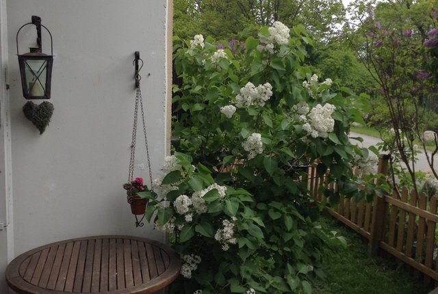 Tempelriddarvägen 24, Skärholmen - bild 7