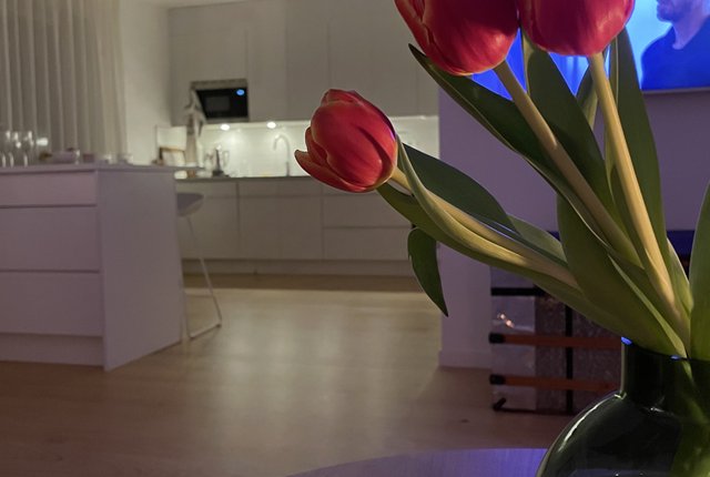 Lövängsgatan 24, Stockholm - bild 4