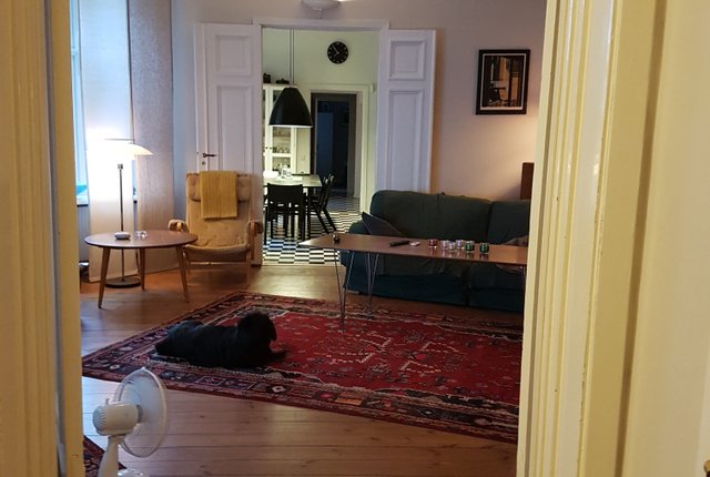 Grönegatan 28, Lund - bild 1