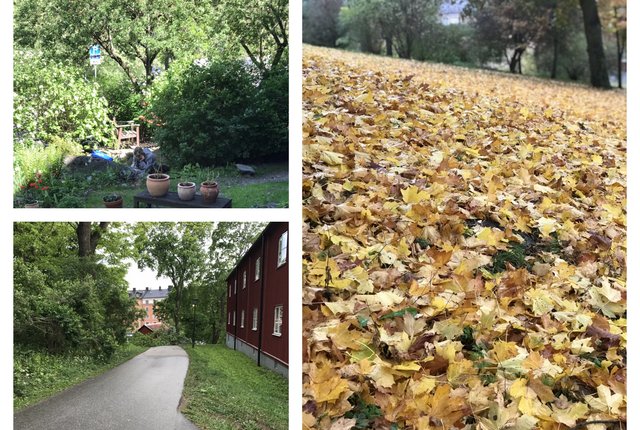Vanadislunden 2C, Stockholm - bild 1