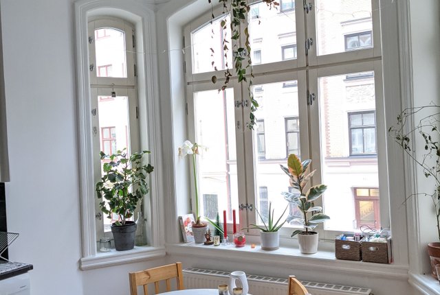 Sturegatan 3, Malmö - bild 5