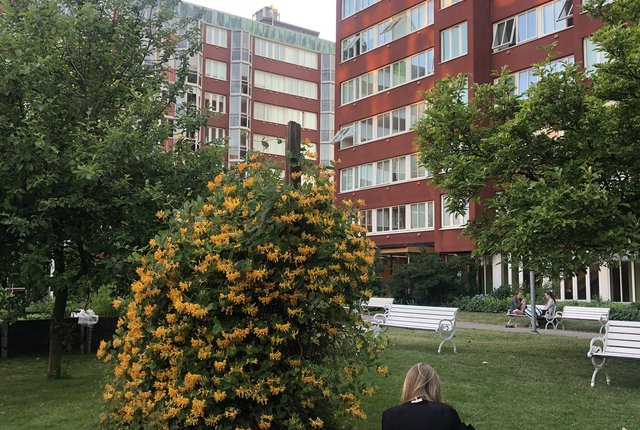 Karl Johansgatan 49B, Göteborg - bild 2