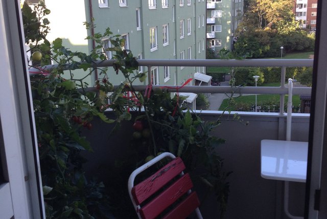 Abbekåsgatan 15, Malmö - bild 2