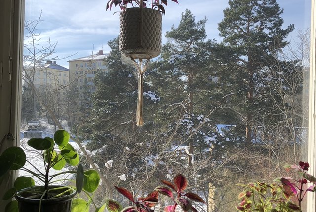 Nathorstvägen 22, Johanneshov - bild 2