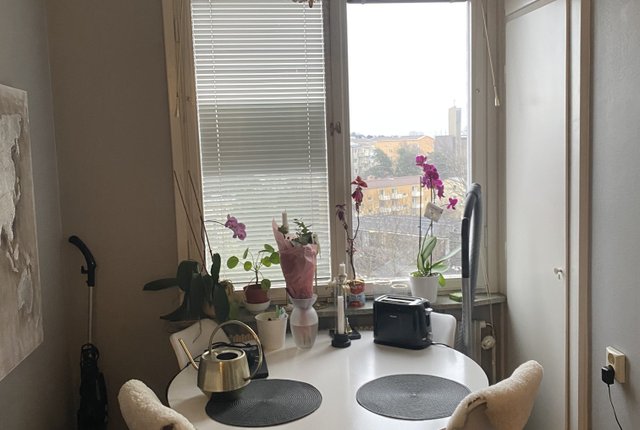 Pelargatan, Johanneshov - bild 5