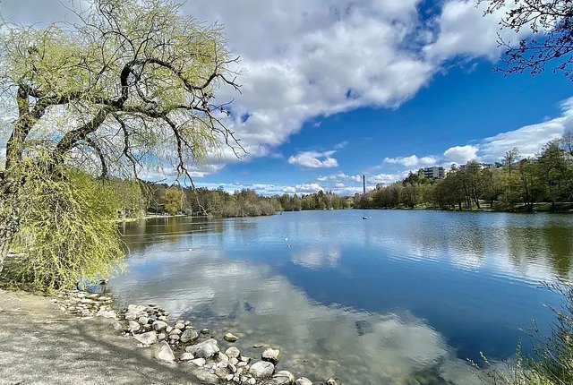 Skogsbacken 19, Sundbyberg - bild 3