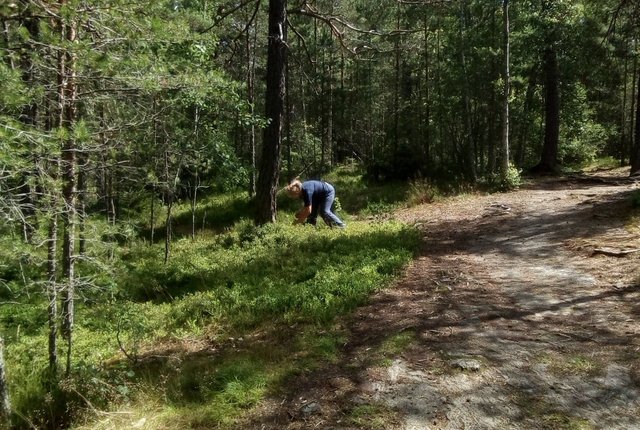 Selebovägen 23, Enskede - bild 5