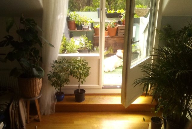 Selebovägen 23, Enskede - bild 1