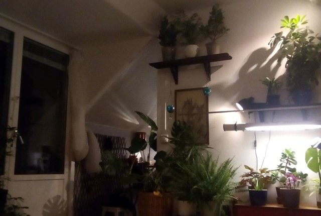 Selebovägen 23, Enskede - bild 3