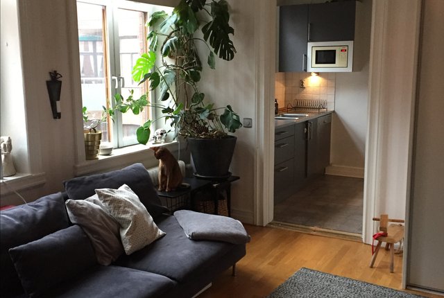 Löjtnantsgatan 4, Malmö - bild 4