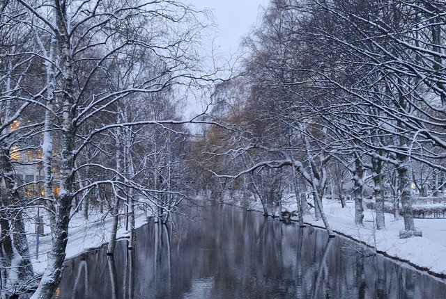 C A Reuterswärds Gata 10, Göteborg - bild 7