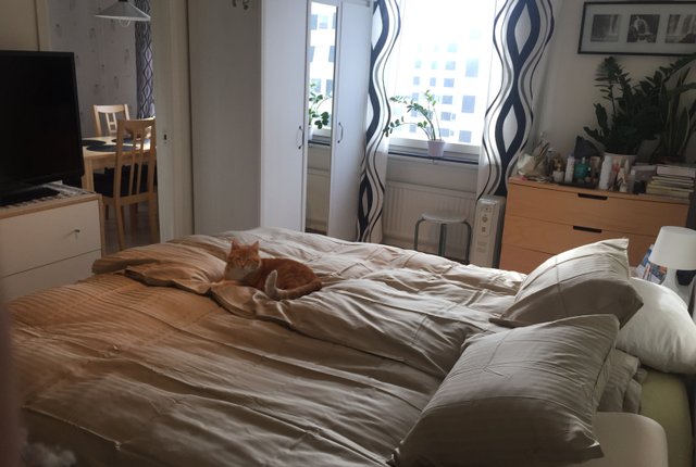 Oppegårdsstråket 5A, Sollentuna - bild 7