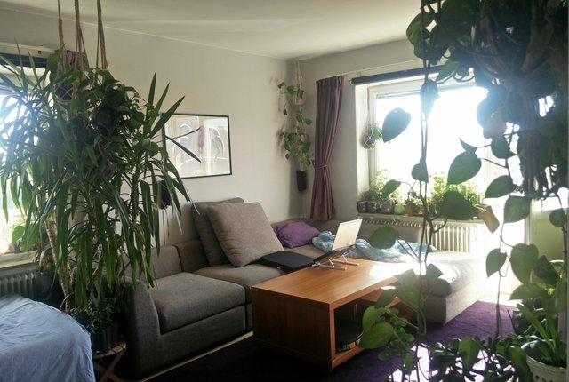 , Enskede - bild 2