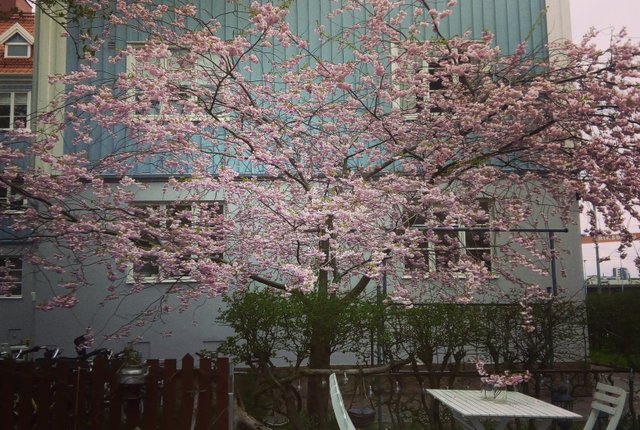 Birgittagatan 4A, Göteborg - bild 5
