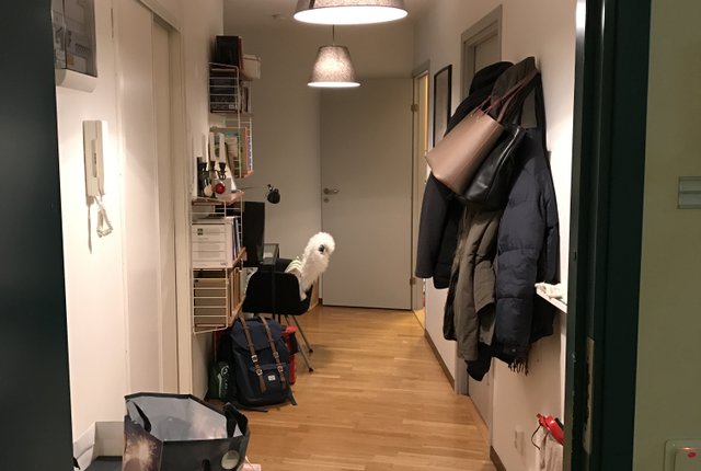 Davidshallsgatan 26, Malmö - bild 1