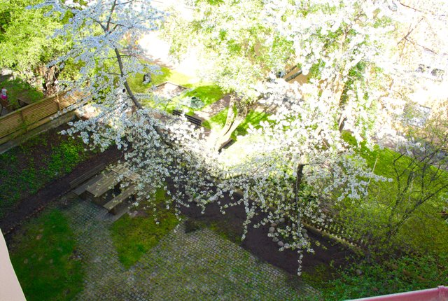 Tellusborgsvägen 84A, Hägersten - bild 5