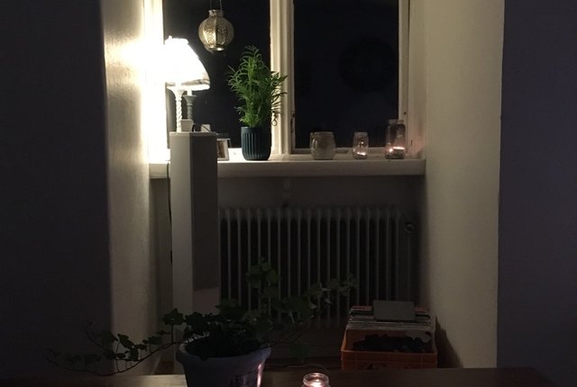 Domherregatan 12,  - bild 5