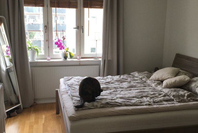 Västra Rönneholmsvägen 76B, Malmö - bild 3